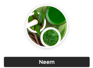 Neem